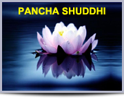 Pancha Shuddhi / Five Essential Purities