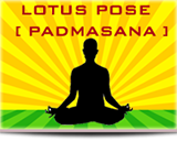 Padmasana Lotus Pose / Yoga Lokam