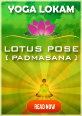 Yoga Asanas / Guru Narayana Lokam