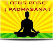 Lotus posture / Yoga Lokam